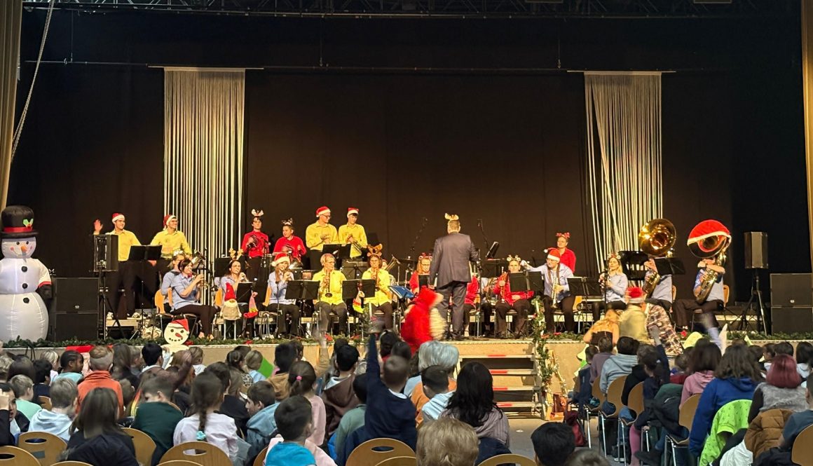 Jugend musiziert für Kitas und Schulen Foto: JBO Grimma